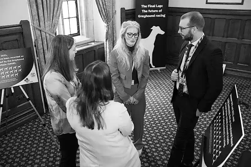 Corporate & Event & Portrait Photographer