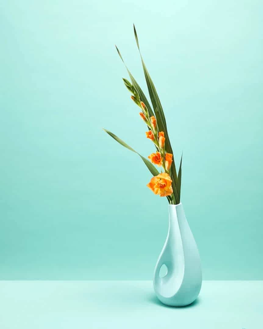 Agata, still life photographer London