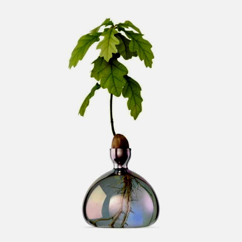 Product Still Life Photographer London London