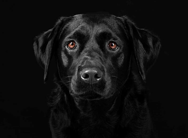 Family & Portrait Photographer Holyhead Gwynedd