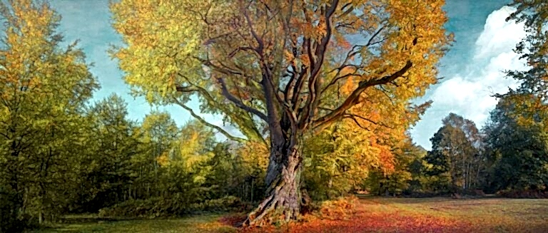 Landscape and documentary photographer Surrey