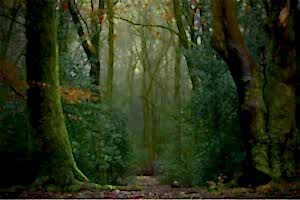 Landscape and documentary photographer Surrey